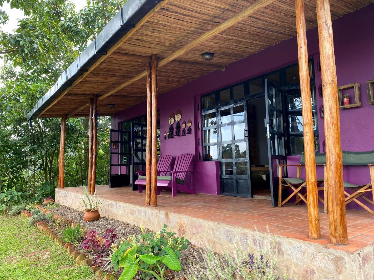 Chameleon Hill Forest Lodge Bwindi Exterior photo