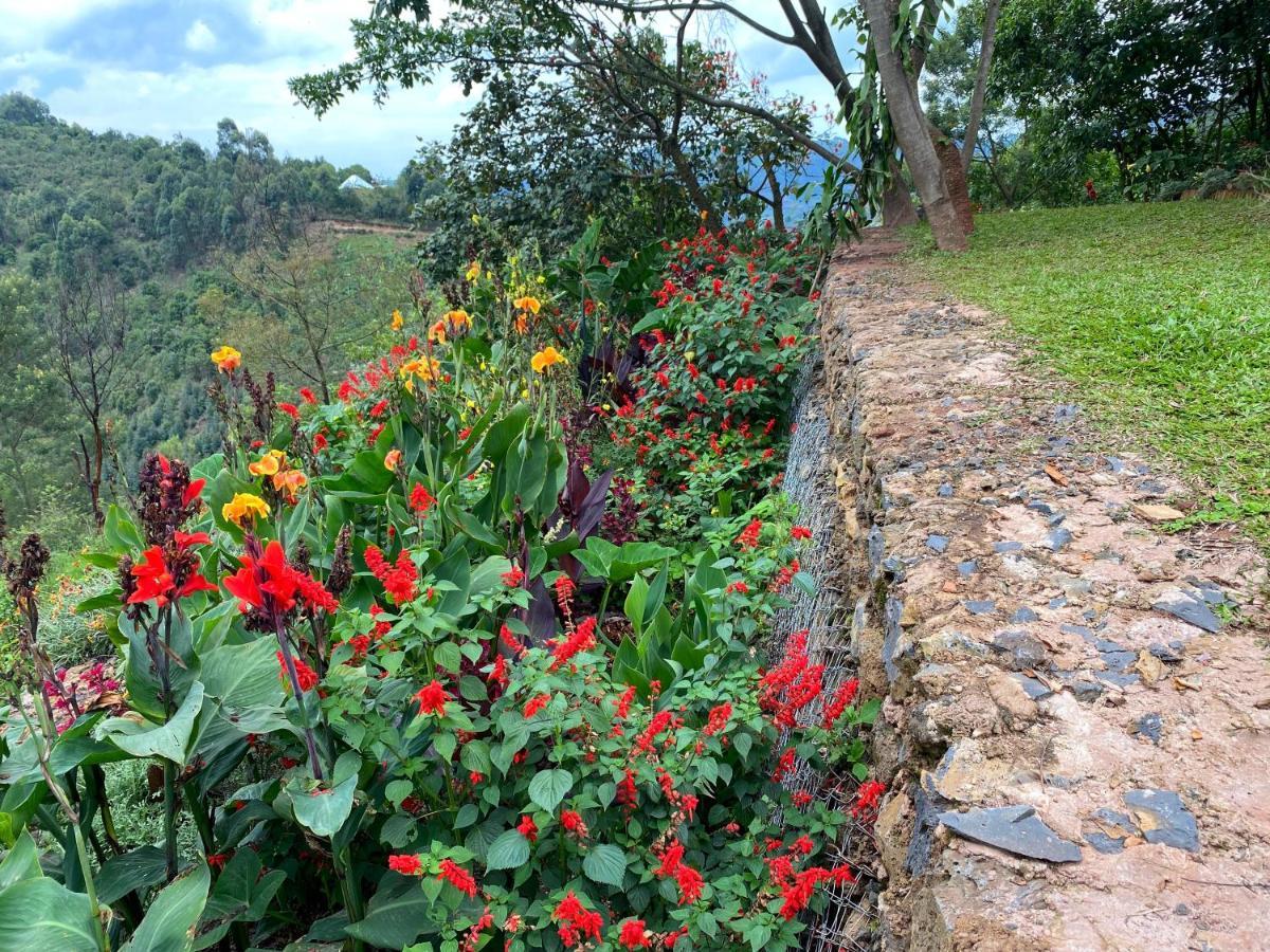 Chameleon Hill Forest Lodge Bwindi Exterior photo